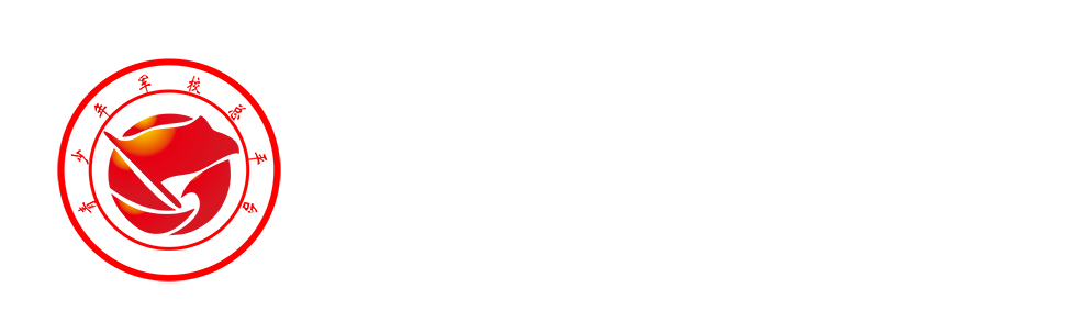 青少年军校总平台